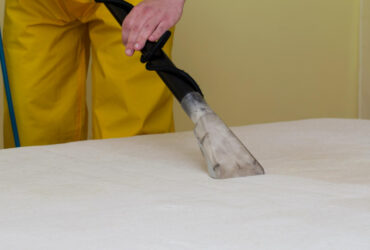 Why opt for Professional Textile Cleaning? Why opt for Professional Textile Cleaning?